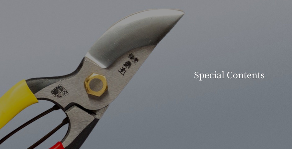 Special Contents