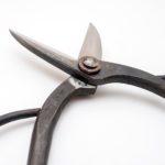 植木鋏・京型・笹岡鋏製作所・青紙2号、持ち手側